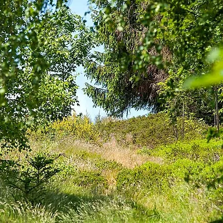 Stollmuehle *