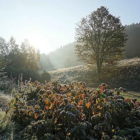 Stollmuehle * Stutzengrun