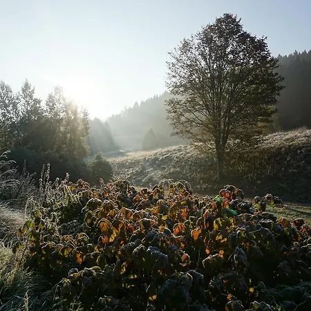 Stollmuehle Estalagem Stutzengrun