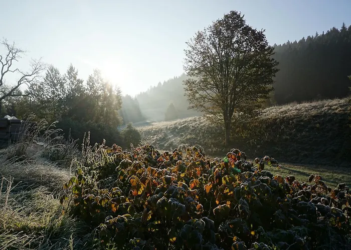 Stollmuehle بيت ريفي Stutzengrun