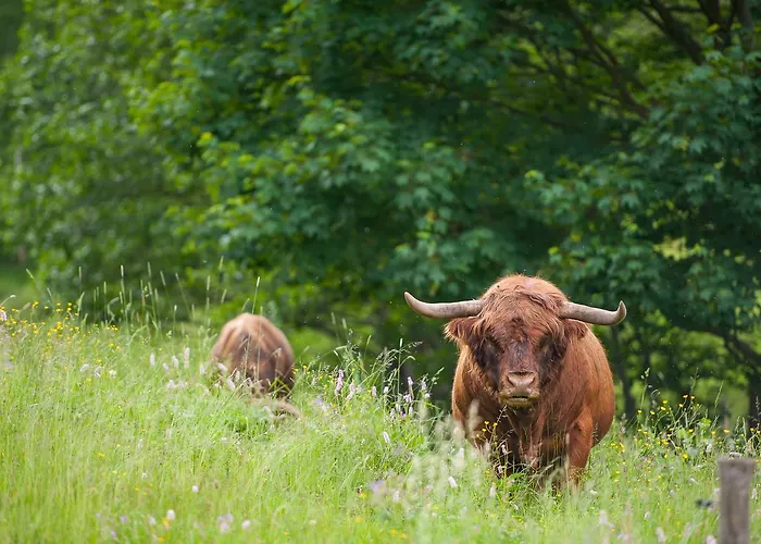 Stollmuehle * Stutzengrun