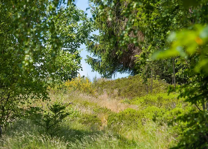 Stollmuehle